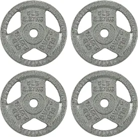 Cast Iron Plate Weight Plate for Strength Training and Weightlifting, Olympic or Standard, Multiple Sizes