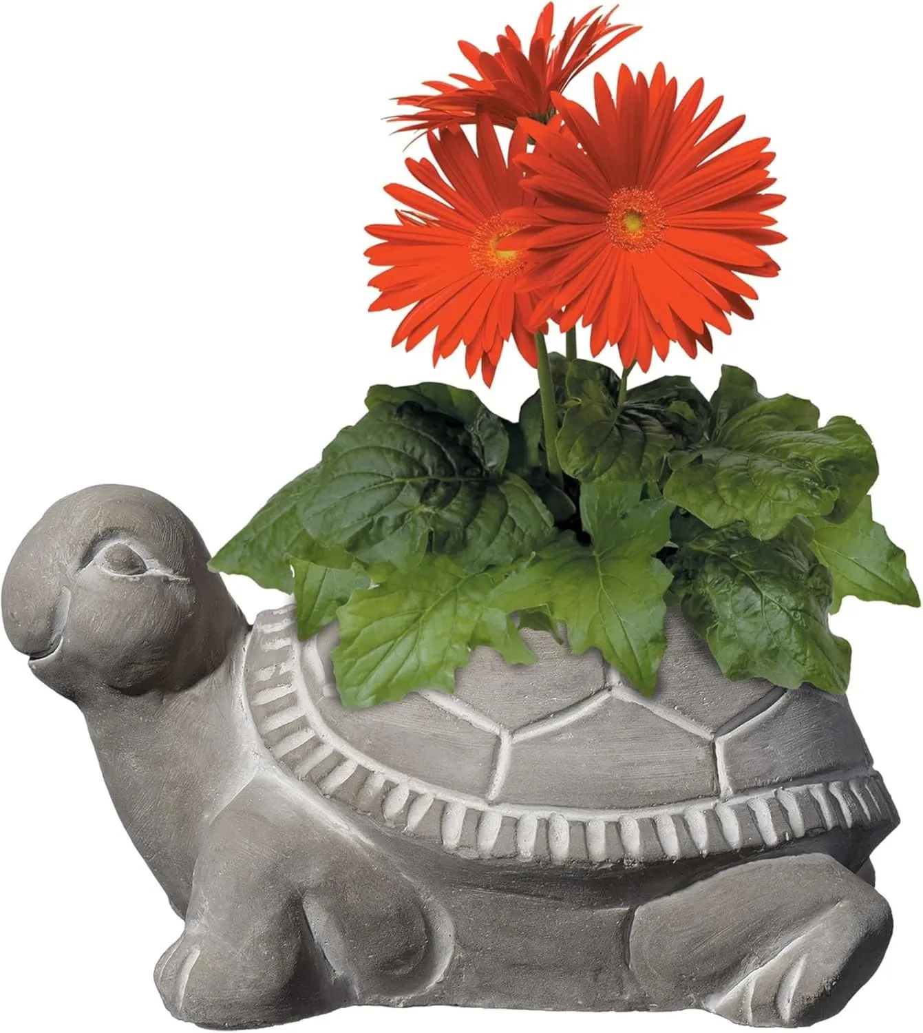 Classic Home and Garden Cement Buddies Indoor Outdoor Planter with Drainage Hole, Turtle, Natural Gray, Large, 8in