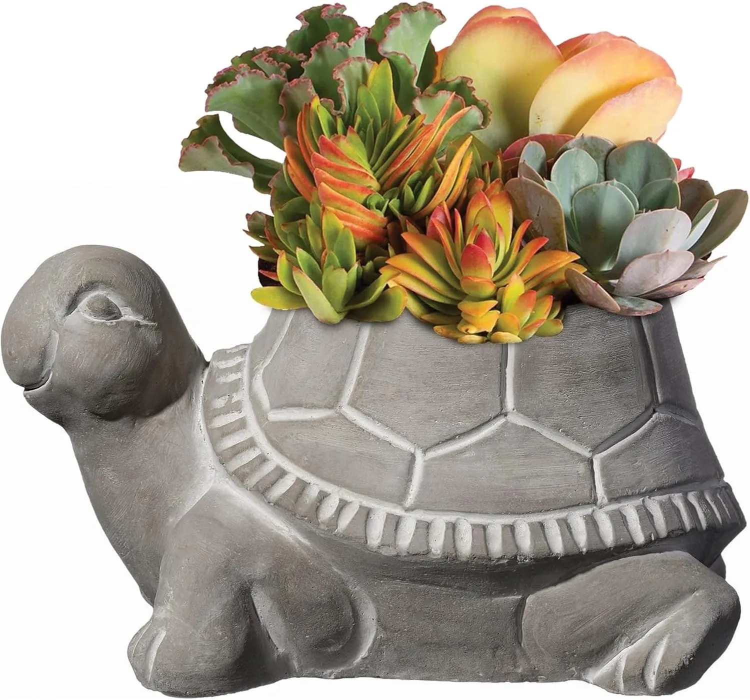 Classic Home and Garden Cement Buddies Indoor Outdoor Planter with Drainage Hole, Turtle, Natural Gray, Large, 8in