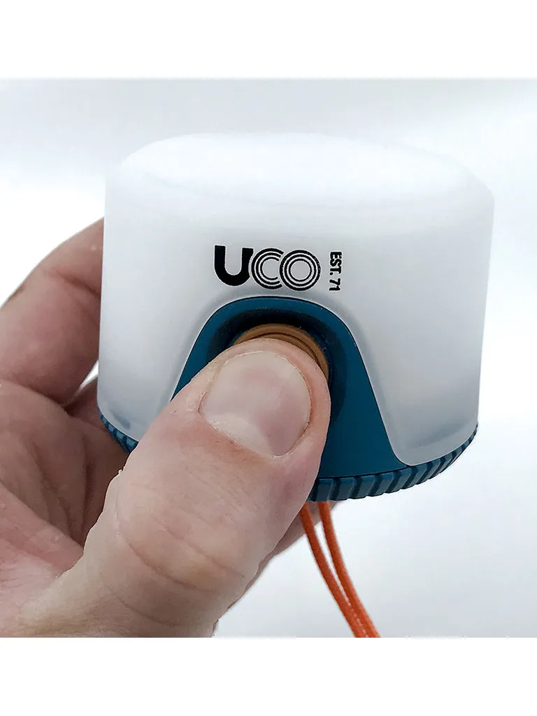 Sprout LED Lantern