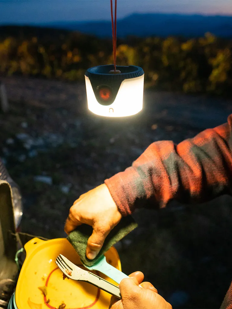 Sprout LED Lantern